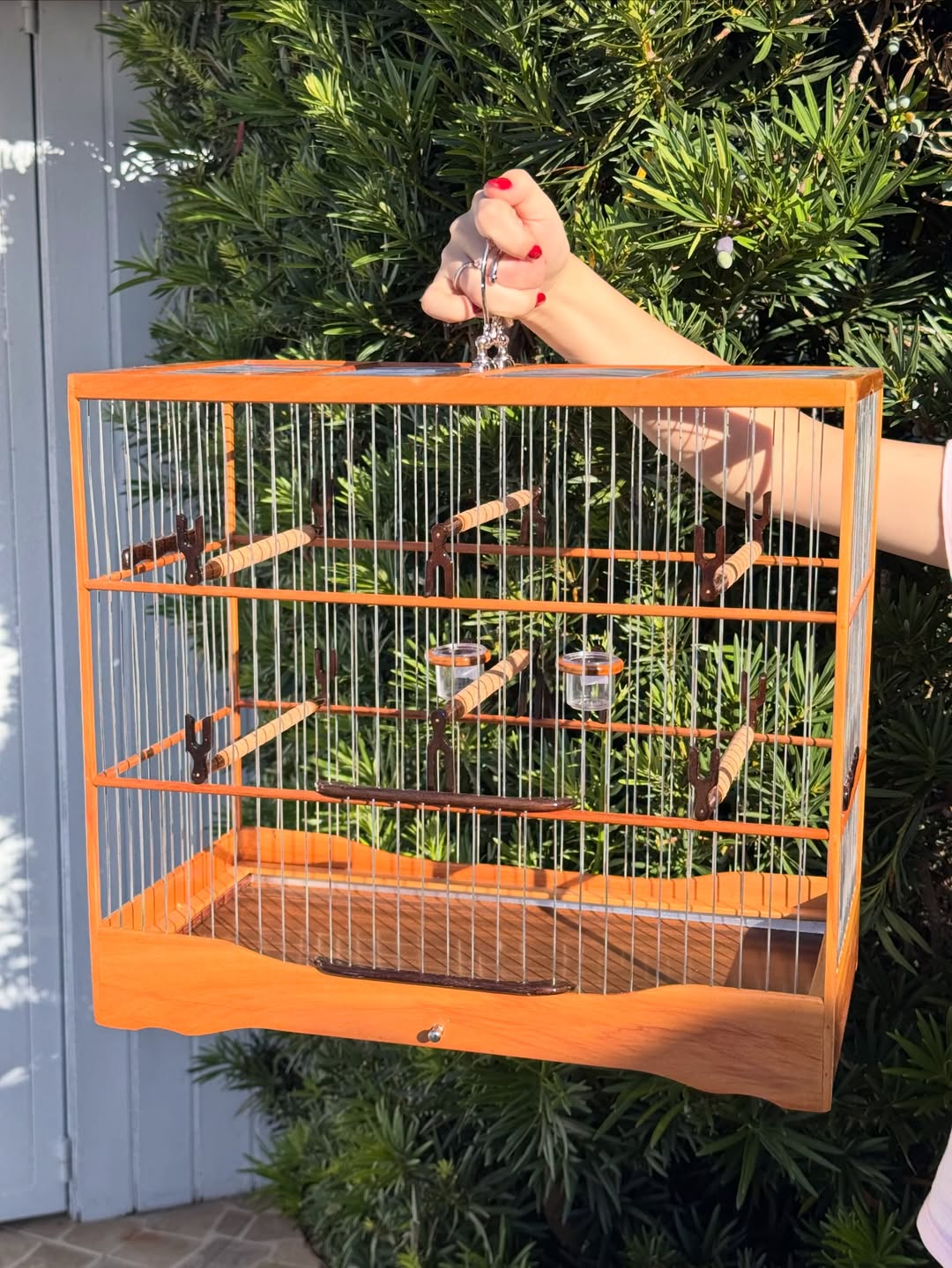 Gaiola Luxo em Madeira – Malha Fina Inox