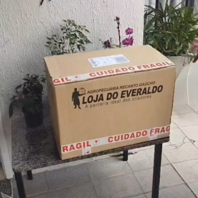 lojadoeveraldo